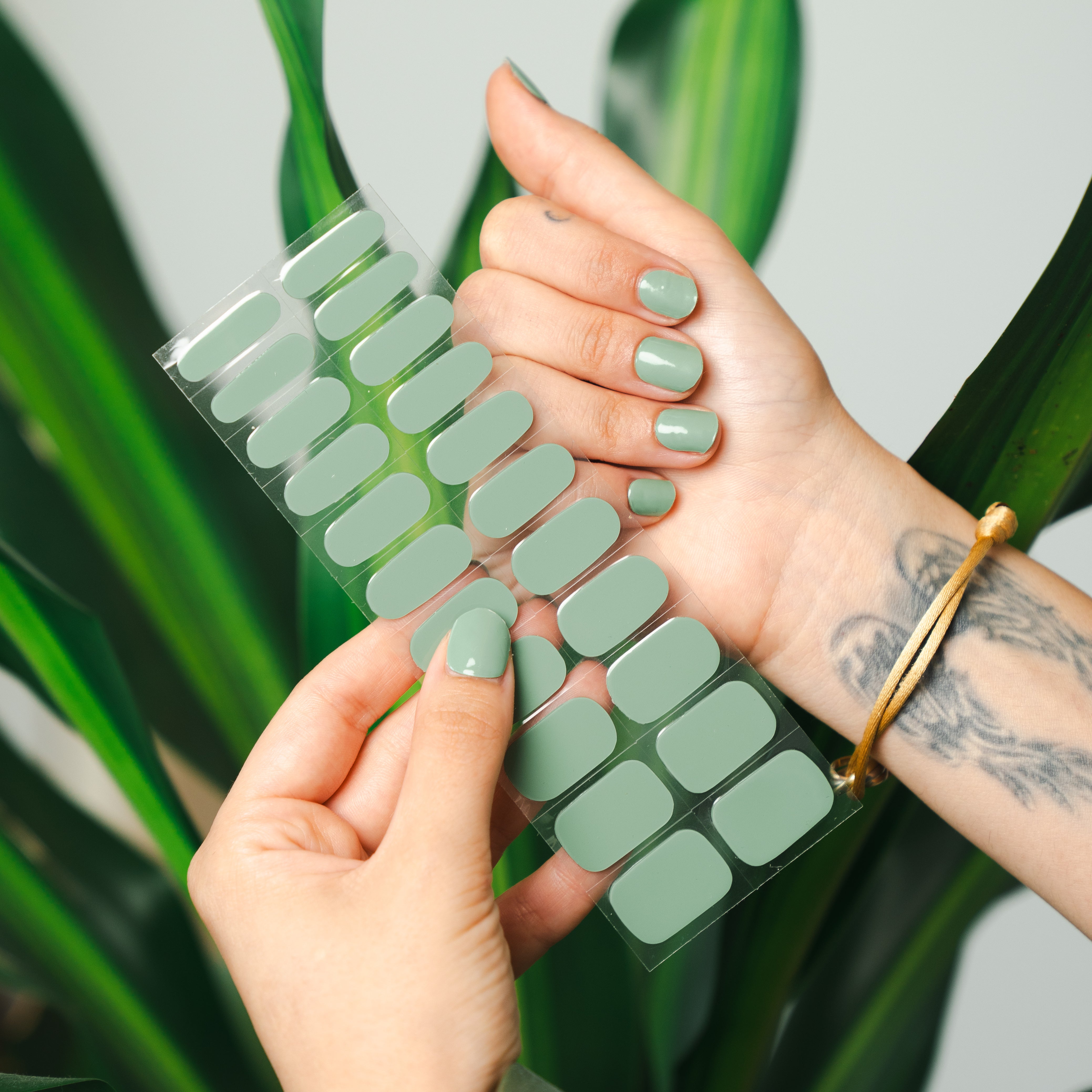 Ice Matcha
