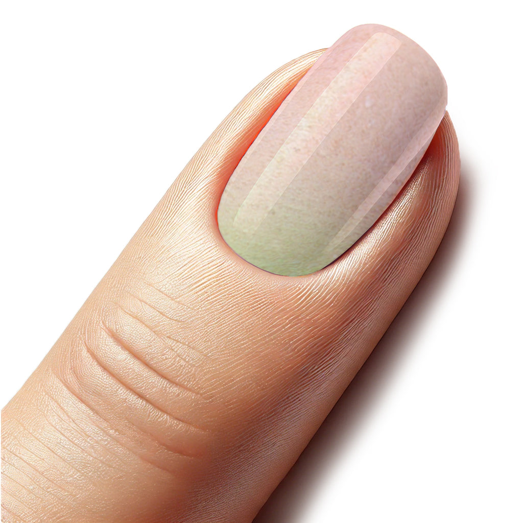 Ombre Blossom